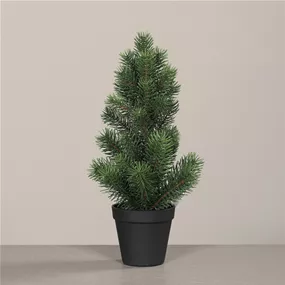 Tannenbaum im Topf