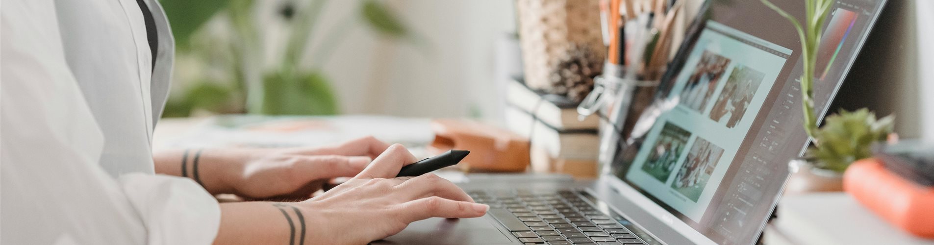 registrierung-hand-laptop-pflanzen