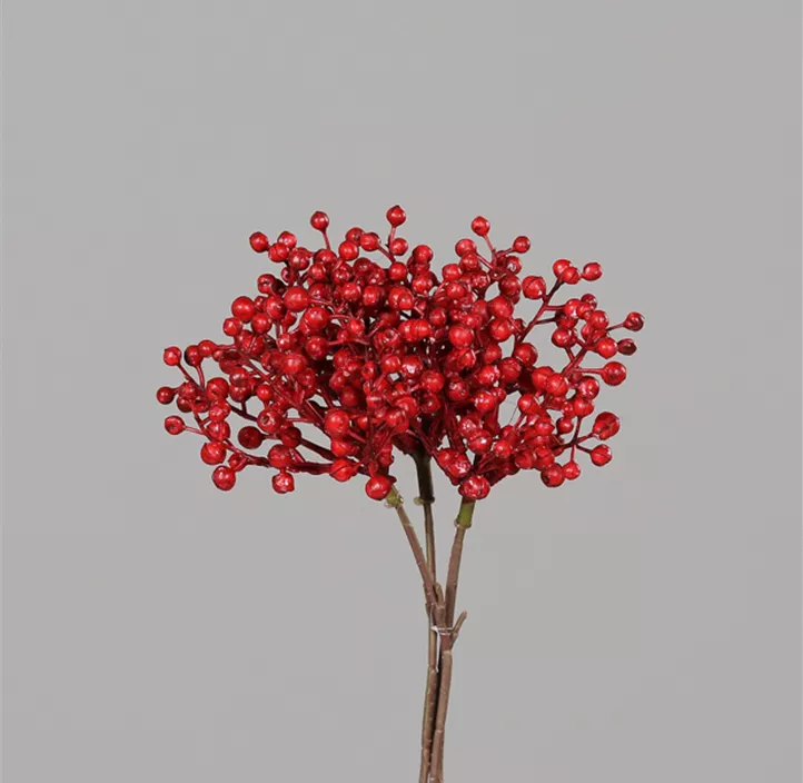 Beeren Bund x3