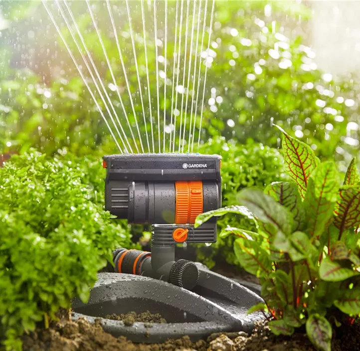 Regner AquaZoom compact (Display)