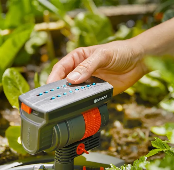 Regner AquaZoom compact (Display)