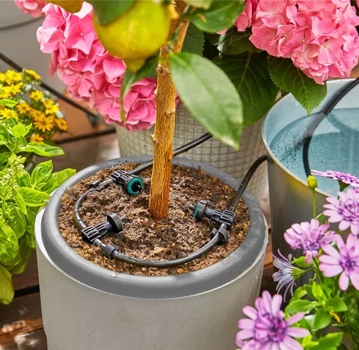 Solar Bew sserung AquaBloom Bellaflora Solar Bew sserung AquaBloom Bellaflora