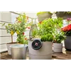 bellaflora Gartencenter GmbH