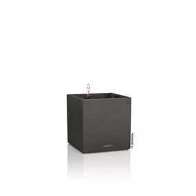 Canto Stone Würfel