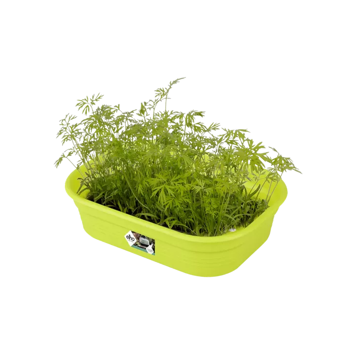 Green Basics Anzuchtkisterl mit Loch