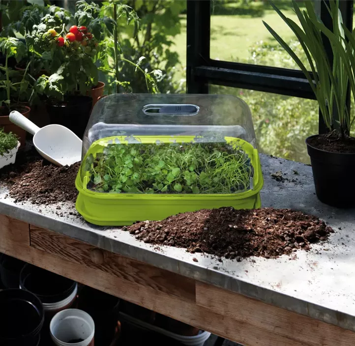Green Basics Anzuchtkisterl mit Loch