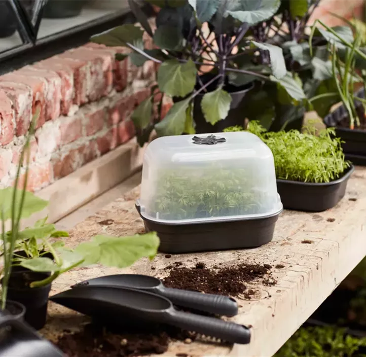 Green Basics Anzuchtkisterl mit Loch