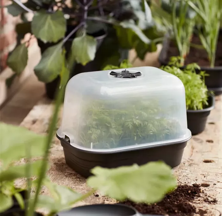 Green Basics Anzuchtkisterl mit Loch
