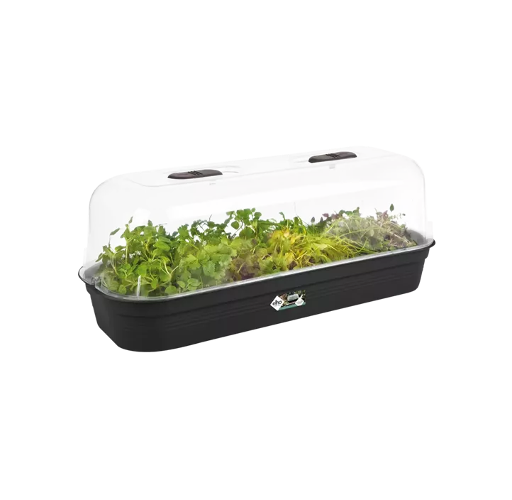 Green Basics Anzuchtkisterl mit Loch