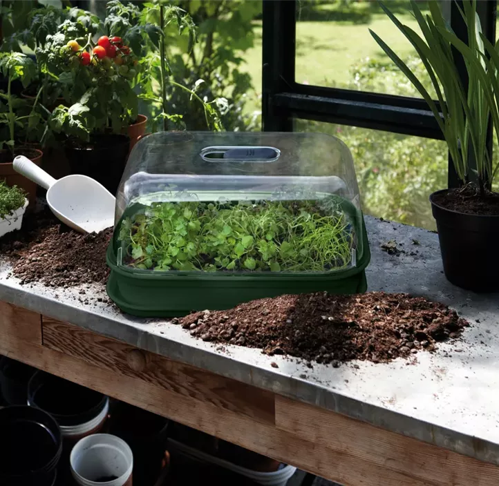 Green Basics Anzuchtkisterl mit Loch