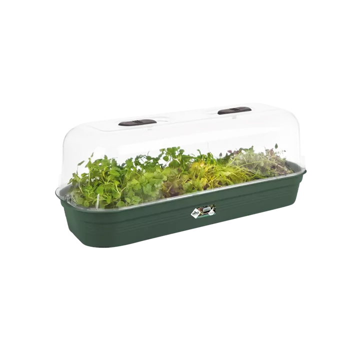 Green Basics Anzuchtkisterl mit Loch