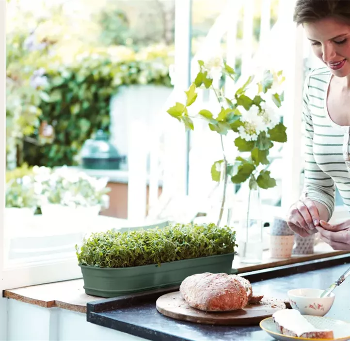 Green Basics Anzuchtkisterl mit Loch