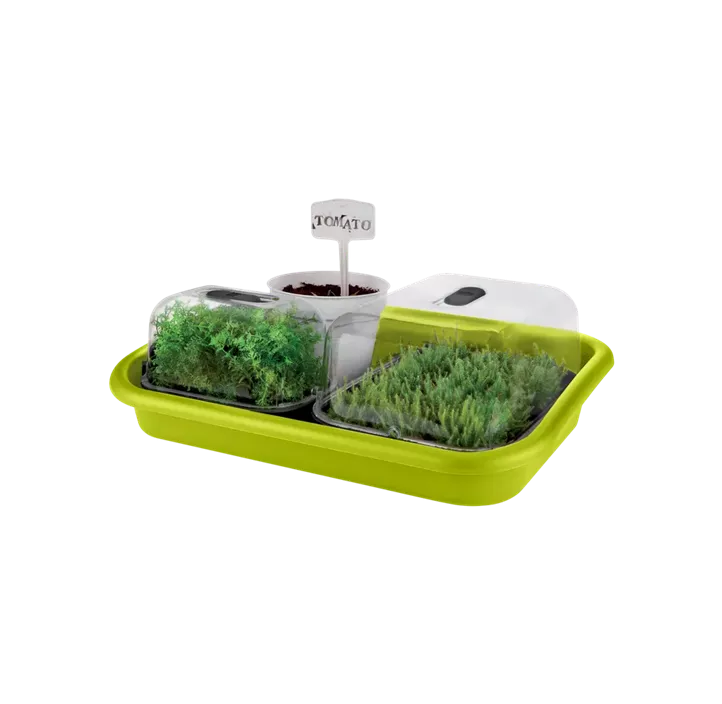 Green Basics Anzuchtkisterl ohne Loch