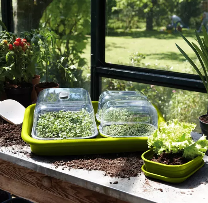 Green Basics Anzuchtkisterl ohne Loch