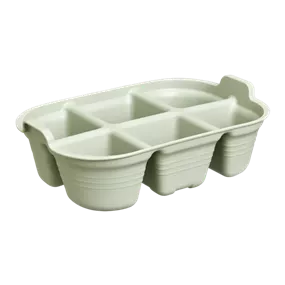 Green Basics Saatschale