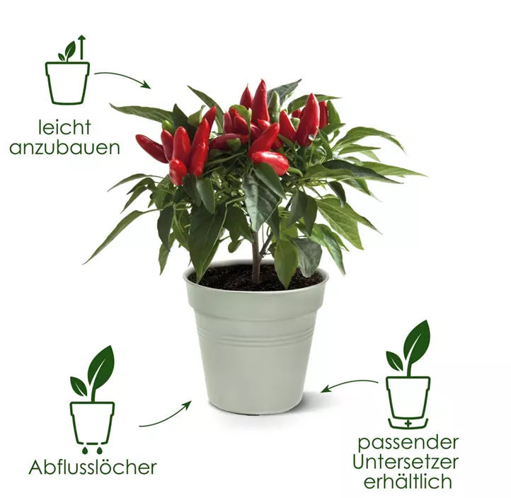 Grow Pot Starter Set 10 Stk. Pkg