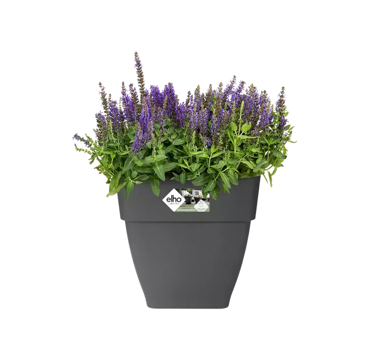 Vibia campana quadratisch