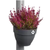 bellaflora Gartencenter GmbH