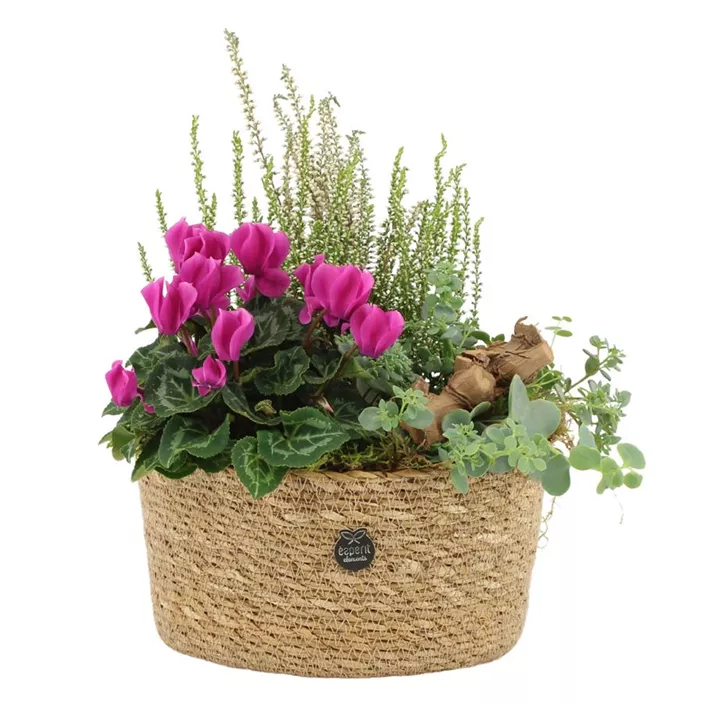 Outdoorarrangement