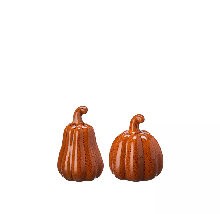 Deko Kürbis Mix Mini Judy (ST)