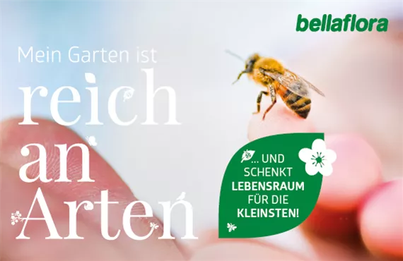 Artenreich_Sujet_ September 2025 - 570x370.png