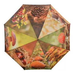 Regenschirm Herbstmotive Regenschirm Herbstmotive