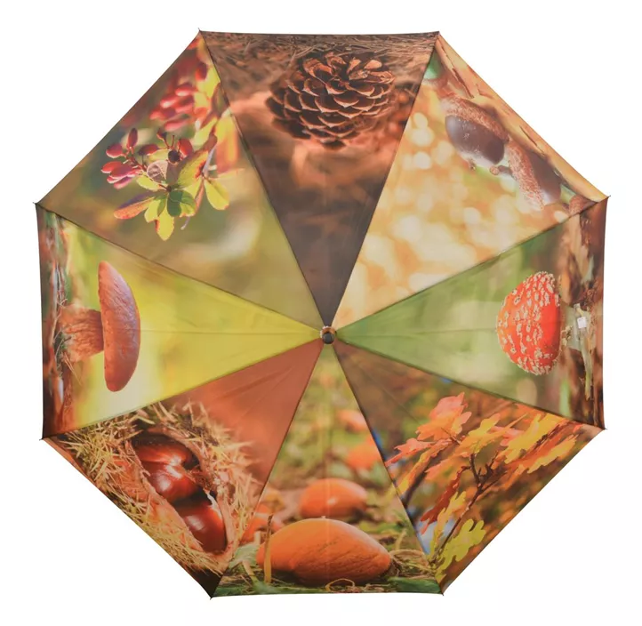 Regenschirm Herbst