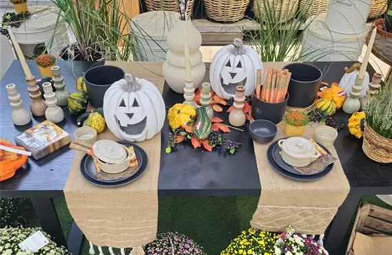 KW 42 Bild LP Halloween.jpg KW 42 Bild LP Halloween.jpg