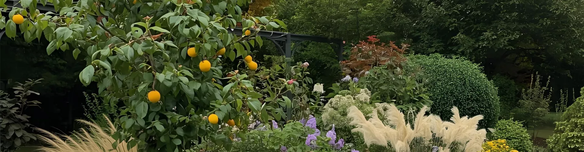 Rabattwochenende bei bellaflora - Bellaflora