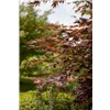 bellaflora Gartencenter GmbH