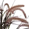 bellaflora Gartencenter GmbH