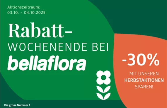 Rabattwochenende Herbstaktion Aktion 2 Website Bild 1150 x 768 px.png