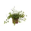 bellaflora Gartencenter GmbH