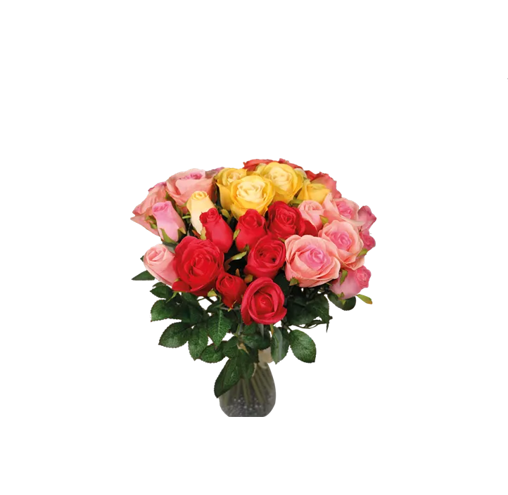 Rosenbund 7 Blüten