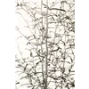 bellaflora Gartencenter GmbH