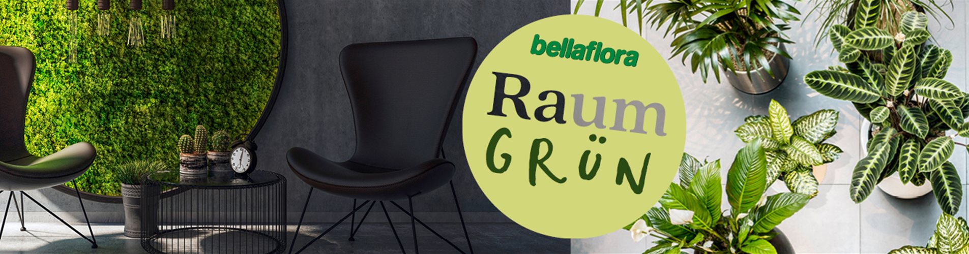 Header-Raumgreen-1400x350x