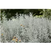 bellaflora Gartencenter GmbH