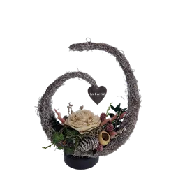 Blütenmond Blütenmond