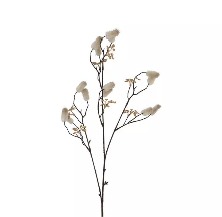 Persicaria Vivaldi