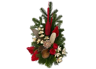 V001103742_186813 Waldgesteck ALH 4_rot.png