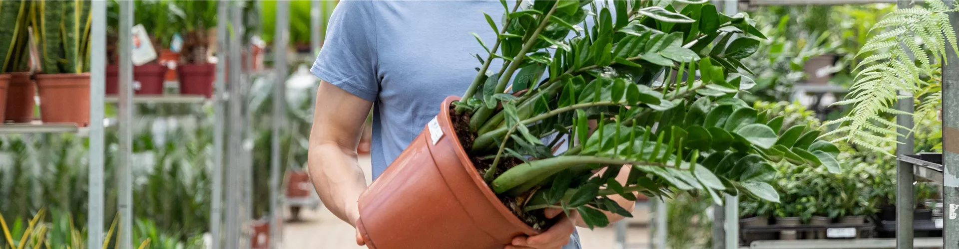 Zustellung Großprodukte - Bellaflora