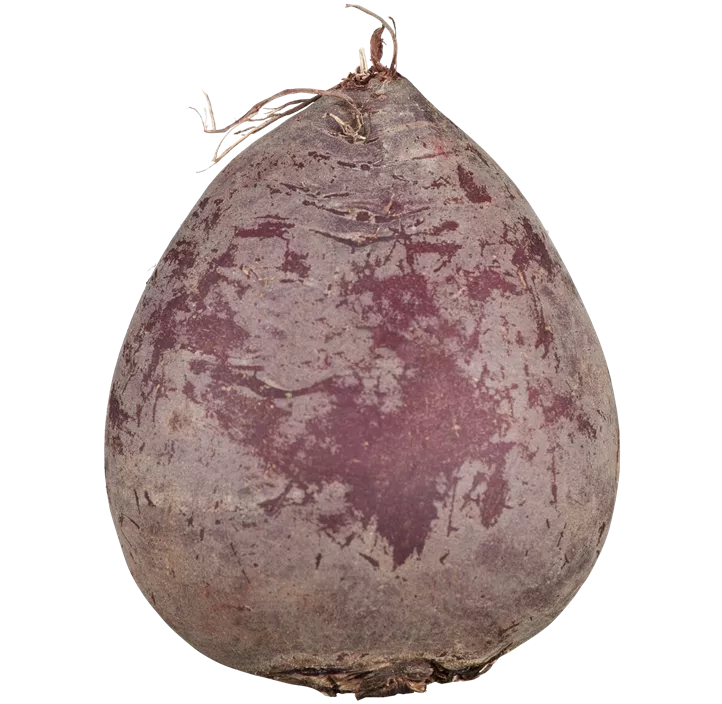 Rübe