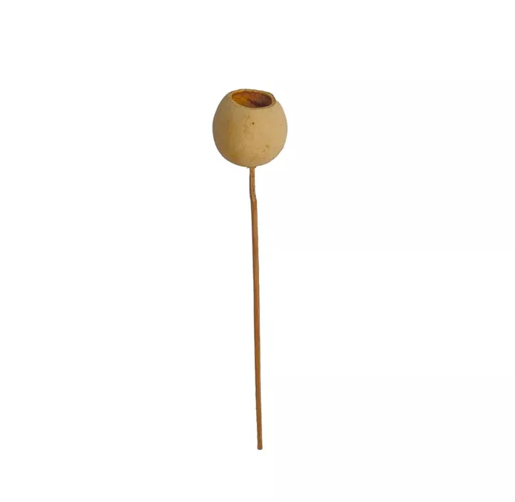Bellcup mit Stiel 3er Pkg