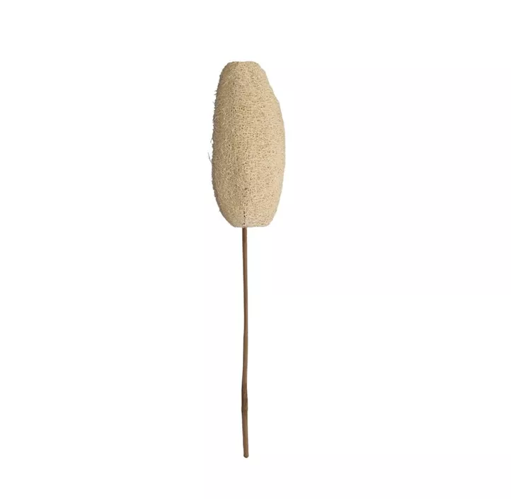Luffa mit Stiel 3er Pkg