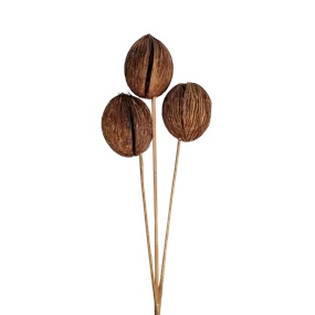 Minolta Ball klein mit Stiel 3er Pkg