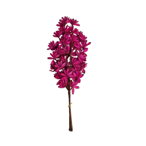 Shola Deco Fan 3er Pkg.