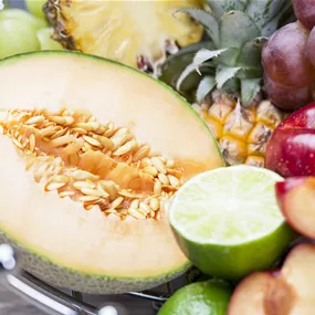 Cucumis melo Magnificenza Cucumis melo Magnificenza