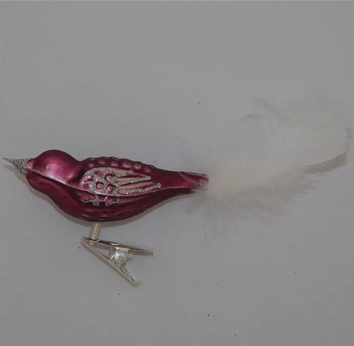 Glasvogel klein