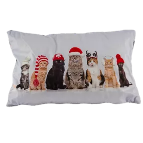 Samtkissen Katzen Weihnachten