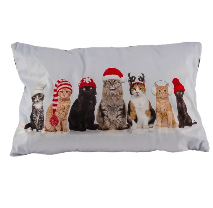 Samtkissen Katzen Weihnachten